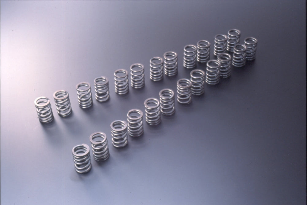 Tomei VALVE SPRING B-TYPE For SKYLINE GT-R BNR32 BCNR33 BNR34 RB26 173002