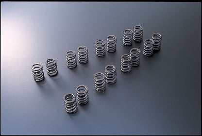 Tomei VALVE SPRING TYPE-B For NISSAN SR 163055